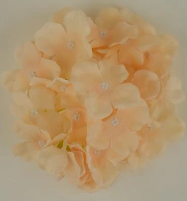 New Hydrangea Head